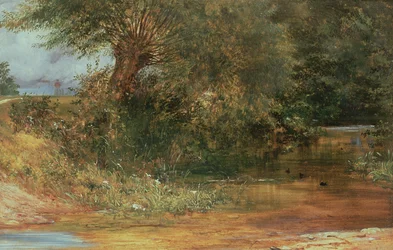 El origen del arroyo